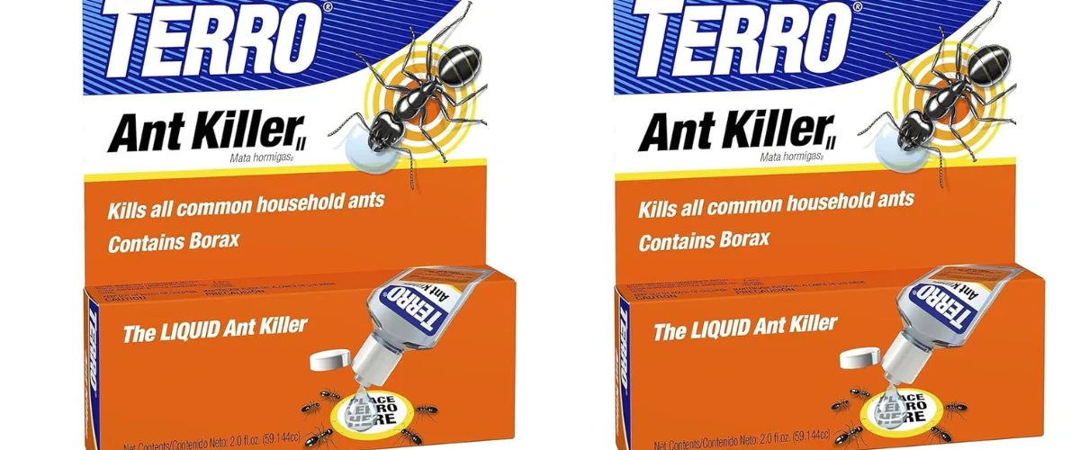 The 5 Best Ant Killers