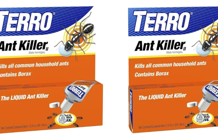 The 5 Best Ant Killers